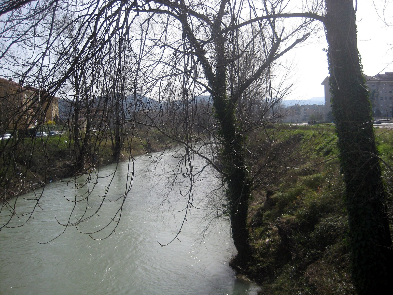 Il fiume Liri a Sora con gli alberi spogli lungo la sponda
